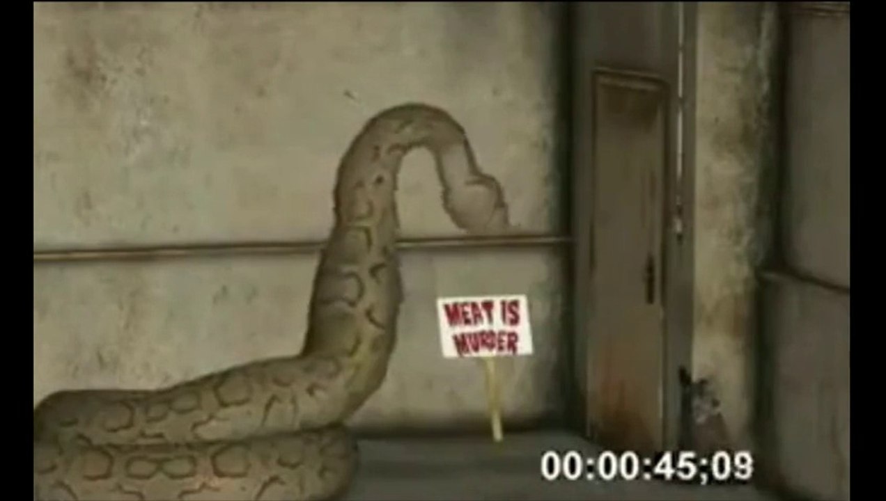 Giant Python eaten whole woman Live Snake eating girl