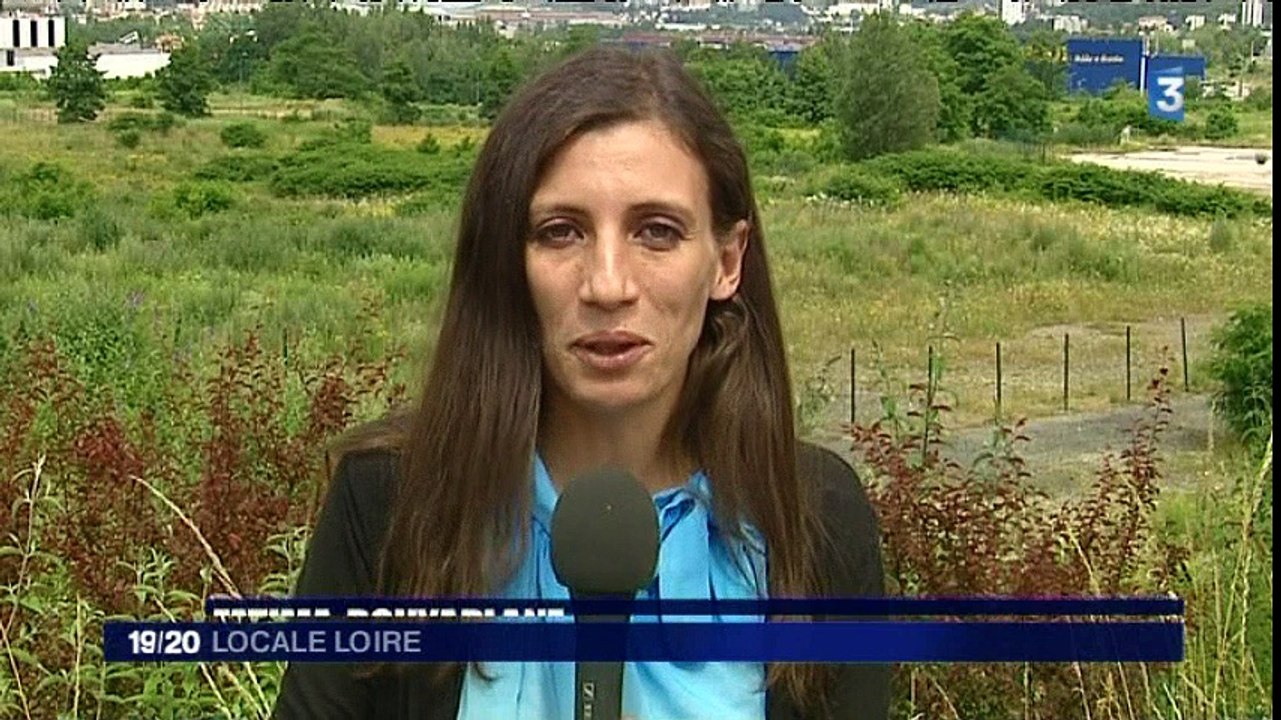 France 3 Loire - 4 juillet 2016