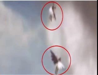 2 Angels Caught On Camera Flying In Brazil - December 2, 2014