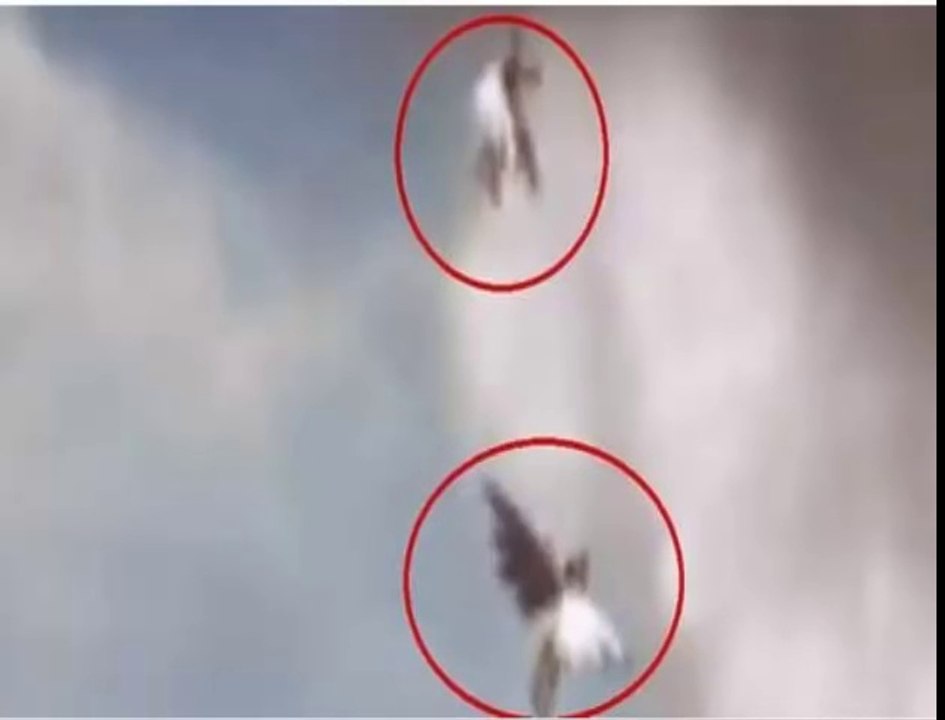 2 Angels Caught On Camera Flying In Brazil - December 2, 2014