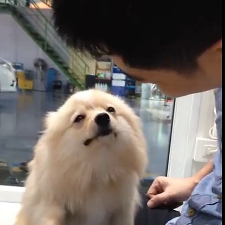 Quand tu n'aimes pas trop les bisous...