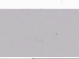 Modest Mouse - Dramamine