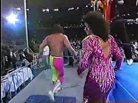 Genichiro Tenryu Vs. Randy Savage