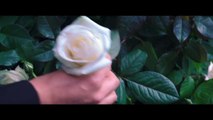 DIE TRIBUTE VON PANEM - MOCKINGJAY TEIL 2 | Trailer 
