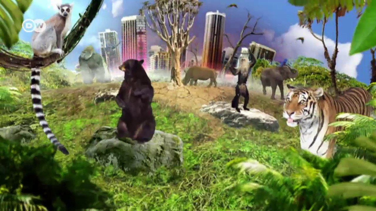 Den Saigas in Kasachstan auf der Spur | Global 3000