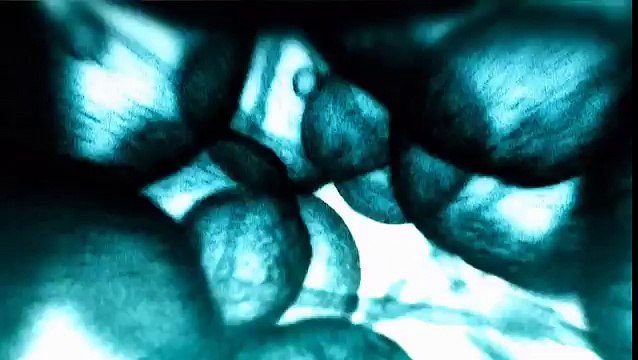 Combat Cloud VS Sephiroth dans Final Fantasy VII : Advent Children