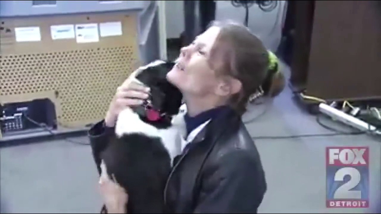 Après 2 ans et 1500 km de distance, on retrouve son chien. Mais va-t-il reconnaître sa maîtresse?