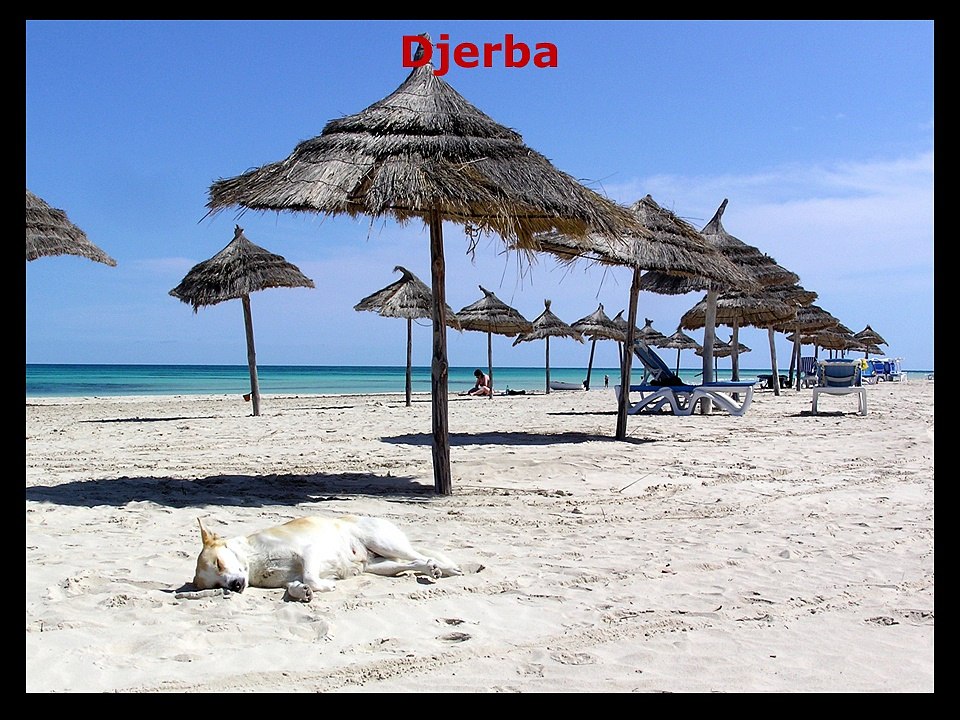 Djerba - www.envie-de-tunisie.com