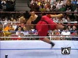 Wrestlemania 10: Bret Hart vs Yokozuna