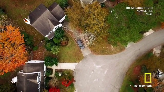 Зов дикой природы / Call of the Wild (2015)