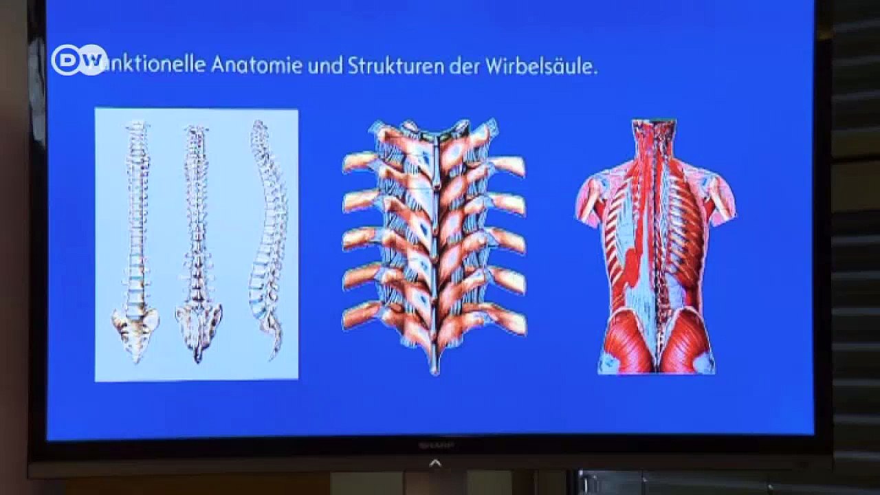 Was autositze komfortabel macht | motor mobil
