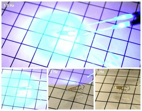 Soft tissue robotic stingray