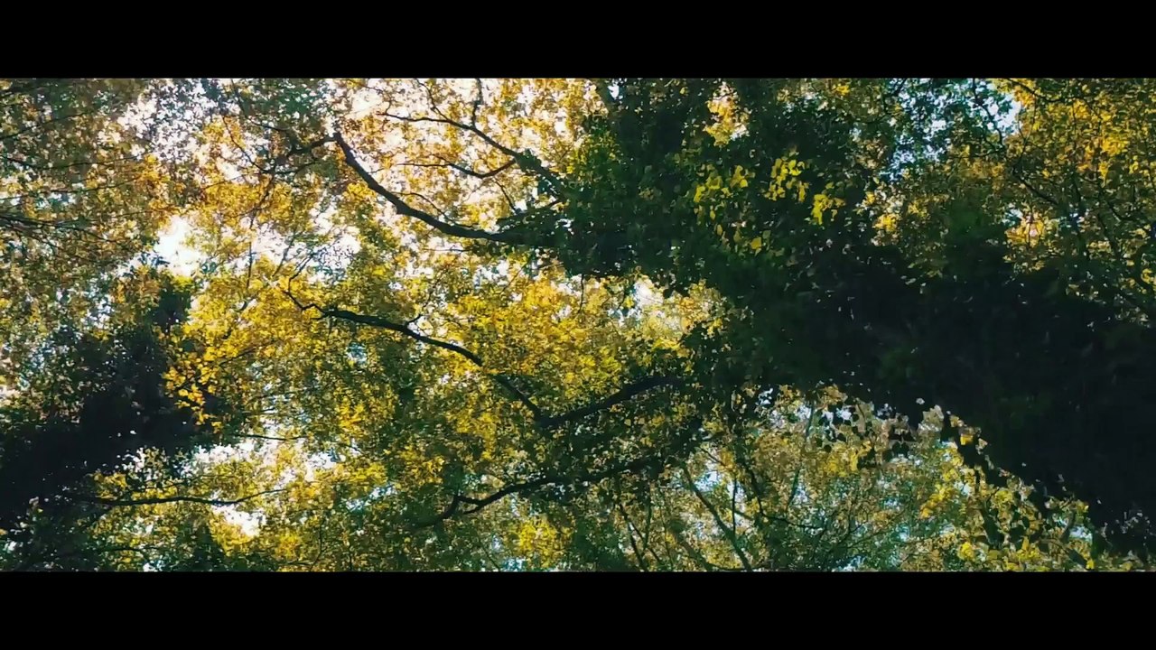 Adrénaline - Tous sports : la vidéo best of du Mud Day d'Amnéville