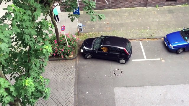 Pire conductrice du monde - Elle essaie de se garer mais rien à faire, elle n'y arrive pas