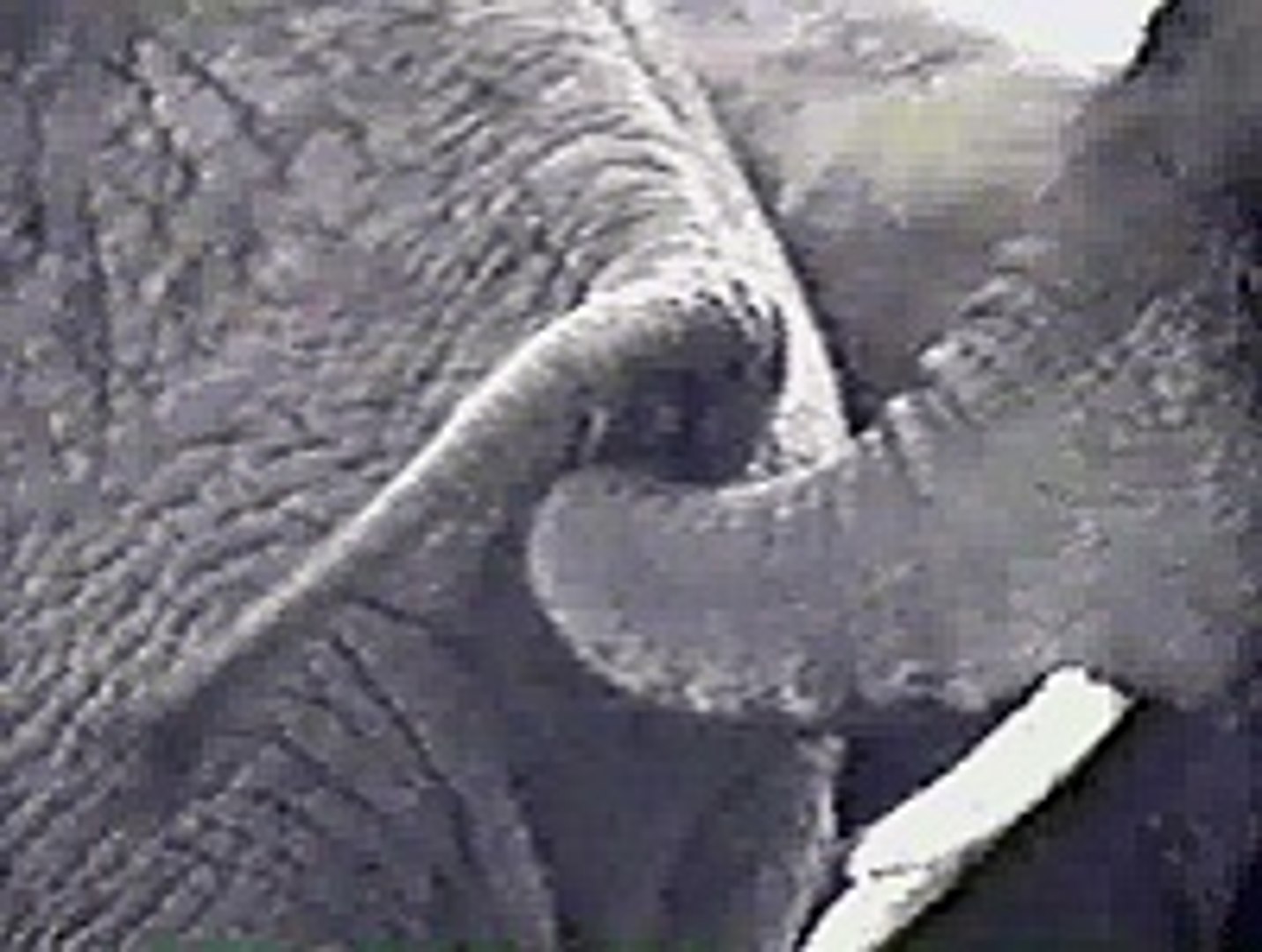 Lunch | Funny Movie | Funny Clip