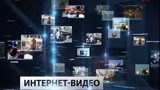 В Канаде  бросили на лед 25 тысяч плюшевых медведей