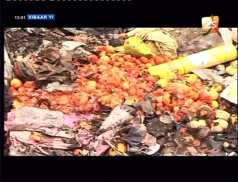 20290729 1742 00 00 35-00 02 00-1