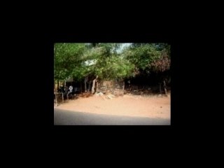 Road trip in india 07