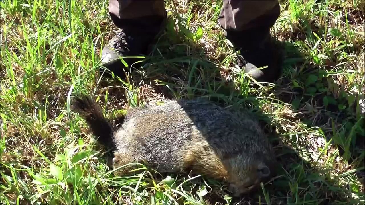 Ohio Ground Hog Hunting with Remington 700 BDL 22-250 cal. CHECK OUT OTHER HEARTLAND HITMEN VIDEOS!!