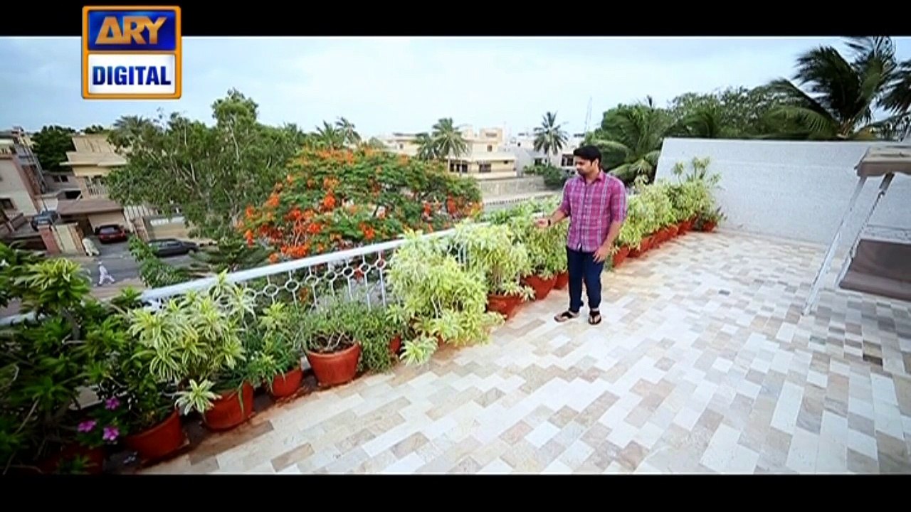 Guriya Rani Episode 242 on Ary Digital in High...