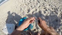 Shark Fishing The Beach