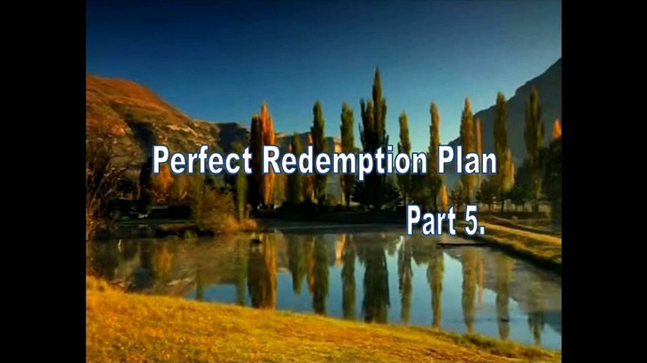 1 Perfect redemption Plan 5 Page 1 - 9