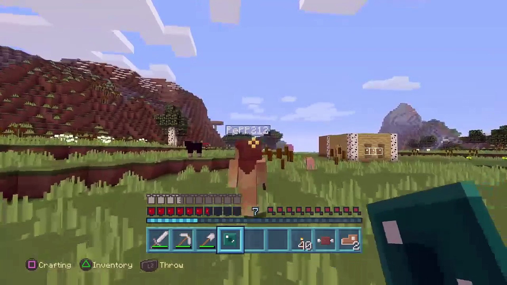 Minecraft  : New survival world !?!?! (12)