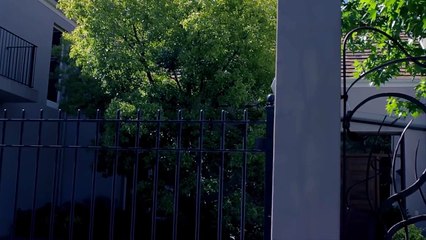 Varsgedruk 29: Onse Vaders, deur Karin Brynard