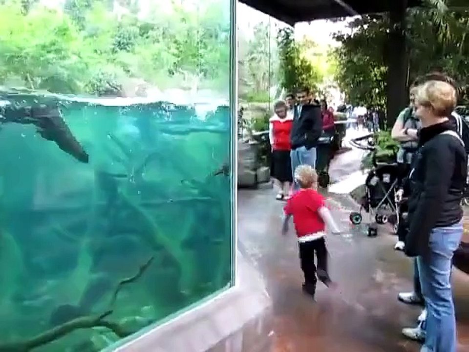 Funny times in Zoo