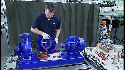 (5 из 10) Демонтаж насоса KSB Etanorm: подшипники