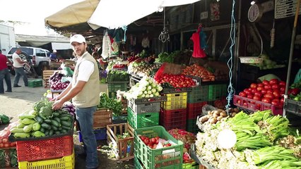 Mauro Libi Crestani: Un ejemplo del por qué es necesaria una cadena de frío