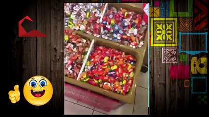 Bayramların Değişmez Kuralları - Scorp Fenomen