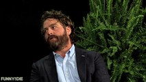 Between Two Ferns - with ZACH GALIFIANAKIS