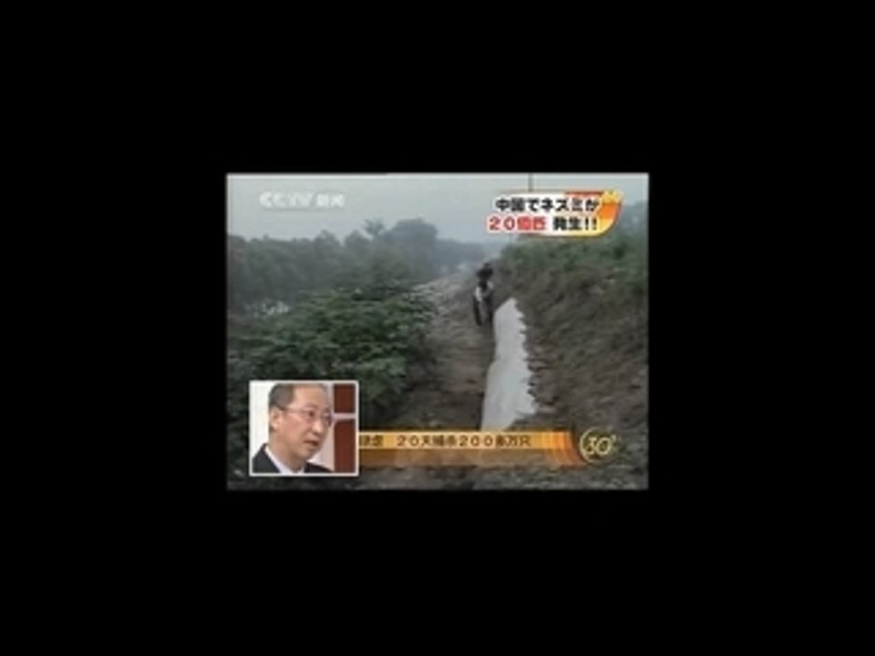 中国で20億匹　ネズミ大量発生。