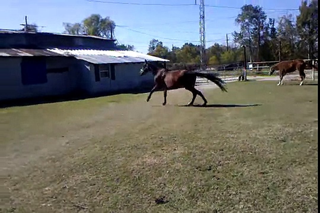 December 14, 2010 11:23 AM