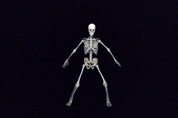 lol dance skele dance