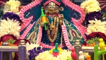 Uttrayan Darshan 14 Jan 2016 Shree Swaminarayan Temple, Sector 23, Gandhinagar