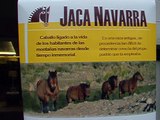 Casa Rural Urbasa  Urederra Nº 299  Cartel Jaca Navarra Ferias  Estella Lizarra  26 - 29226