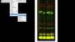 Using ImageJ to analyze STR gels Part 1