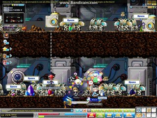 Maxce Botting/Hacking