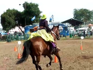 2010 Calaveras County Fair and Jumping Frog Jubilee (27)