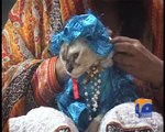 Gujranwala lady dresses up her Cat for Eid
