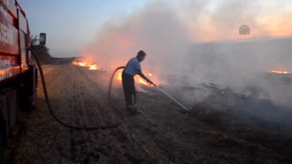 Anız Yangını - Tekirdağ