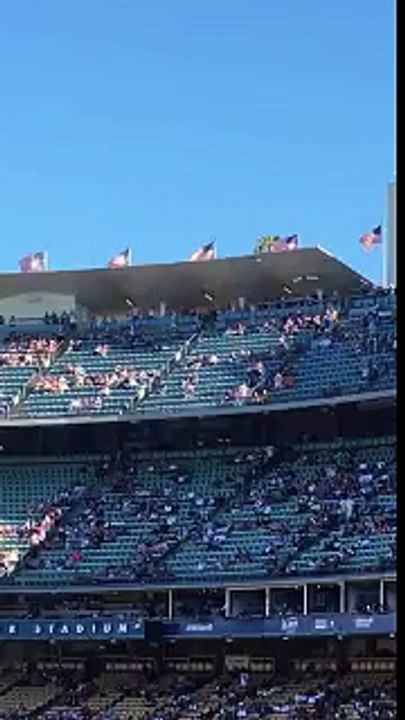 Un Aigle Royal d'Amérique s'échappe en vol d'avant match de Baseball