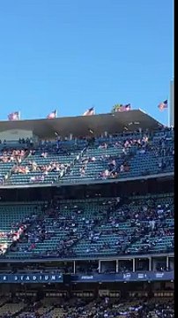 Un Aigle Royal d'Amérique s'échappe en vol d'avant match de Baseball