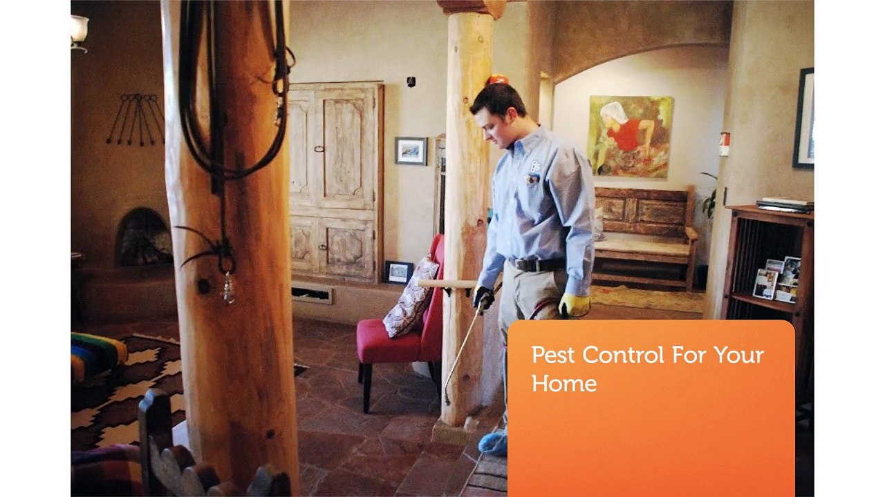 Pest Defense Solutions : Pest Control In Oklahoma City, OK