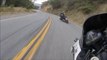 Ces motards roulent à fond sur une route de montagne en Harley