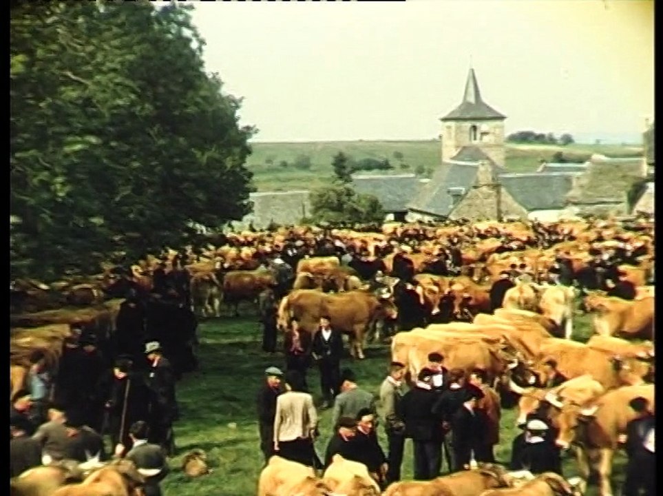 Terroir, territoire, Aubrac : Je vais voir mes vaches
