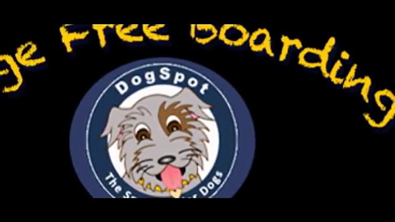 Dog Daycare Encinitas