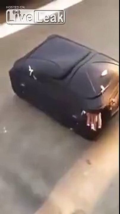 Cops find illegal immigrant stuffed inside a SUITCASE